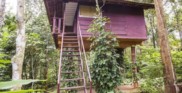 Sunbird Garden Resort Krishnagiri Kültér fotó